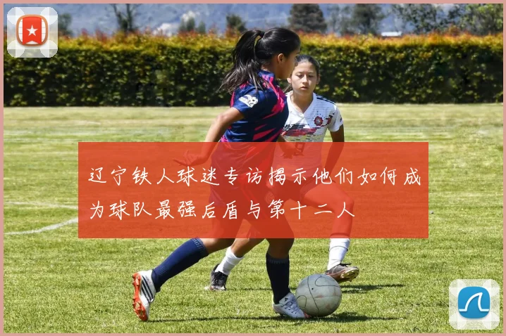 辽宁铁人球迷专访揭示他们如何成为球队最强后盾与第十二人