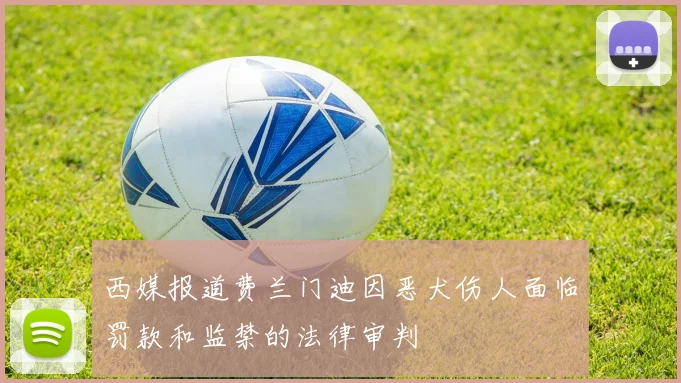 西媒报道费兰门迪因恶犬伤人面临罚款和监禁的法律审判