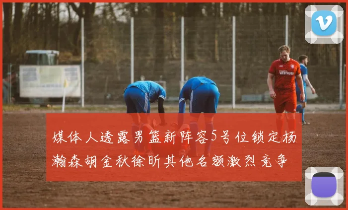 媒体人透露男篮新阵容5号位锁定杨瀚森胡金秋徐昕其他名额激烈竞争